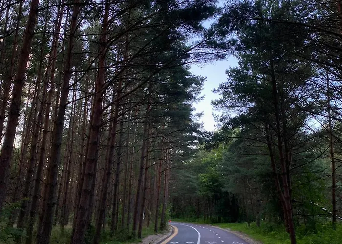 Julia Βίλα Παλάγκα